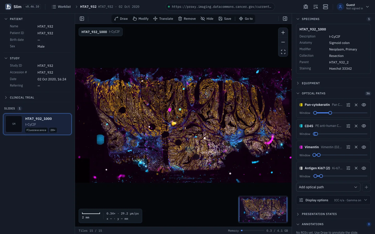 Slim: Whole slide images, brightfield and fluorescence
