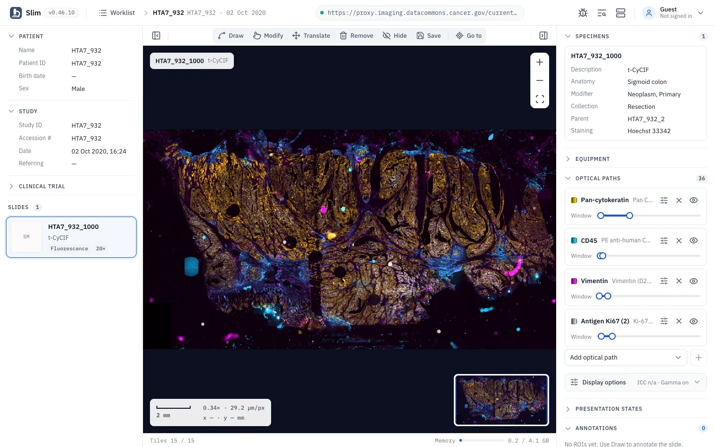 Slim: Whole slide images, brightfield and fluorescence